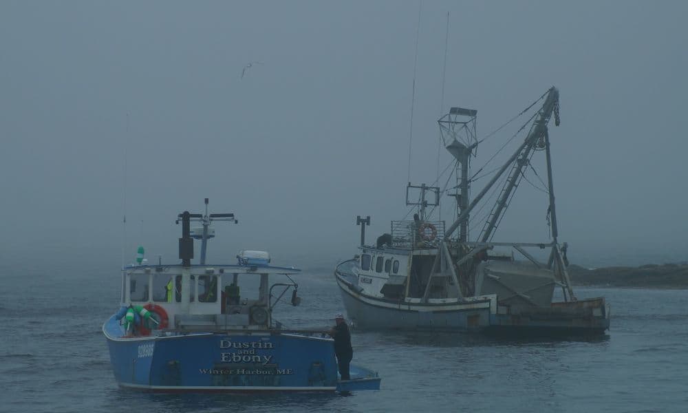 Fishing boats in fog, Winter Harbor, Maine