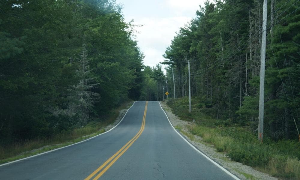 Rural road through Maine forest